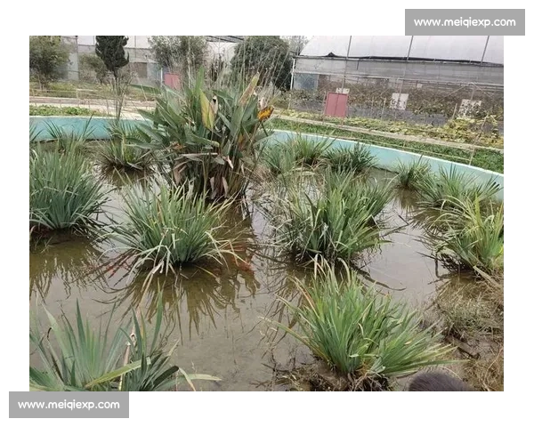 未来巨星XX天才少年世界杯初露锋芒，视频记录成长瞬间！