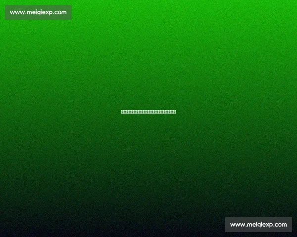 陈好：从荧幕女神到事业多元发展的全能女性之路